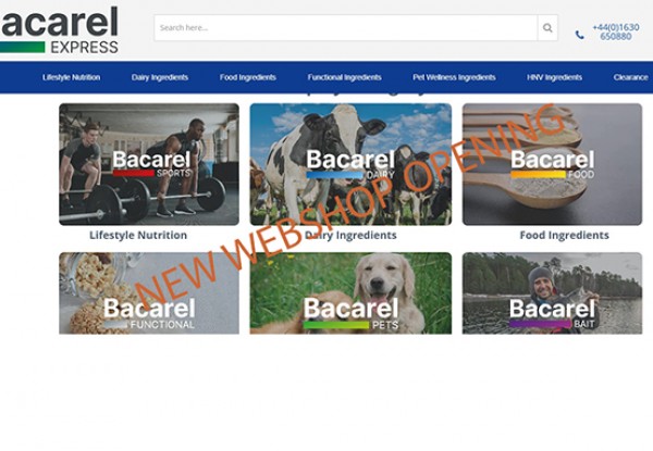 New BX Website 2 mob