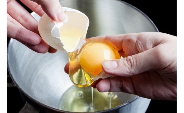 Egg Albumen Powder (edible)