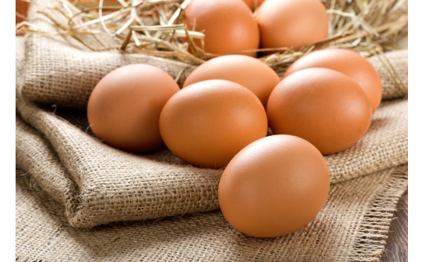 Free Range Whole Egg Powder (edible)