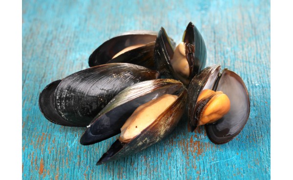 Mussel Products