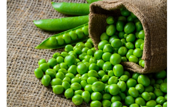 Pea Protein Isolate