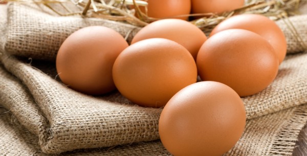 Free Range Whole Egg Powder (edible)