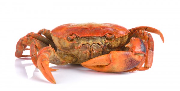 Crab Products