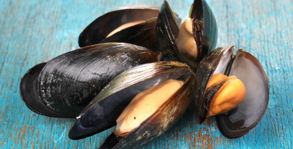 Mussel Products