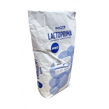 Micellar Casein Concentrate 85% Non-Instant (edible)