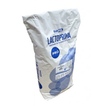 Milk Protein Concentrate 85% Non-Instant (edible)