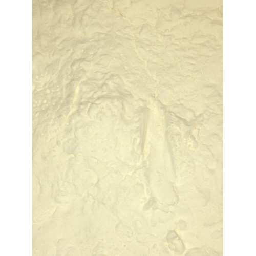 Egg White Powder Protein - Egg Albumen Performance Plus (Edible) - 500g Free Sample