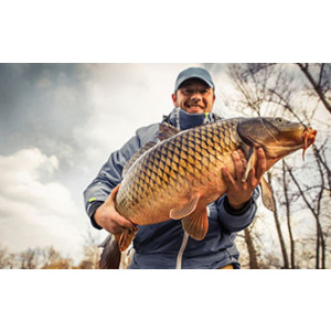 Attractants (Liquids & Powders)