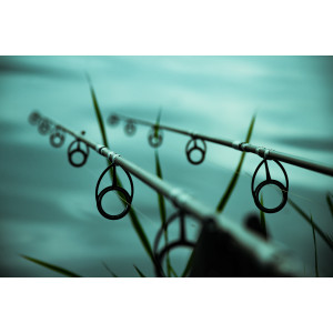 Fish Meals