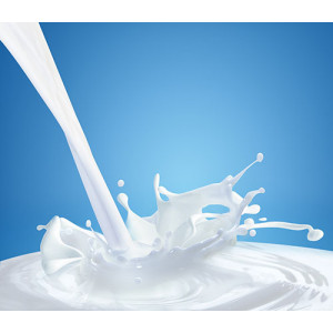 Skimmed Milk Power (SMP) (edible)