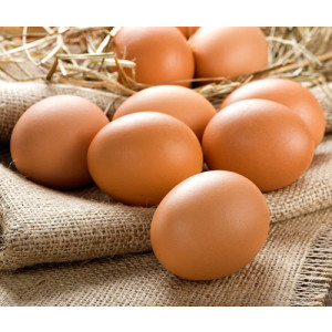Egg Powders